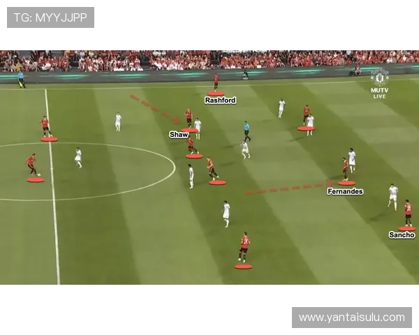 南京排球队意识对比分析：战术思维与团队协作的深度探讨